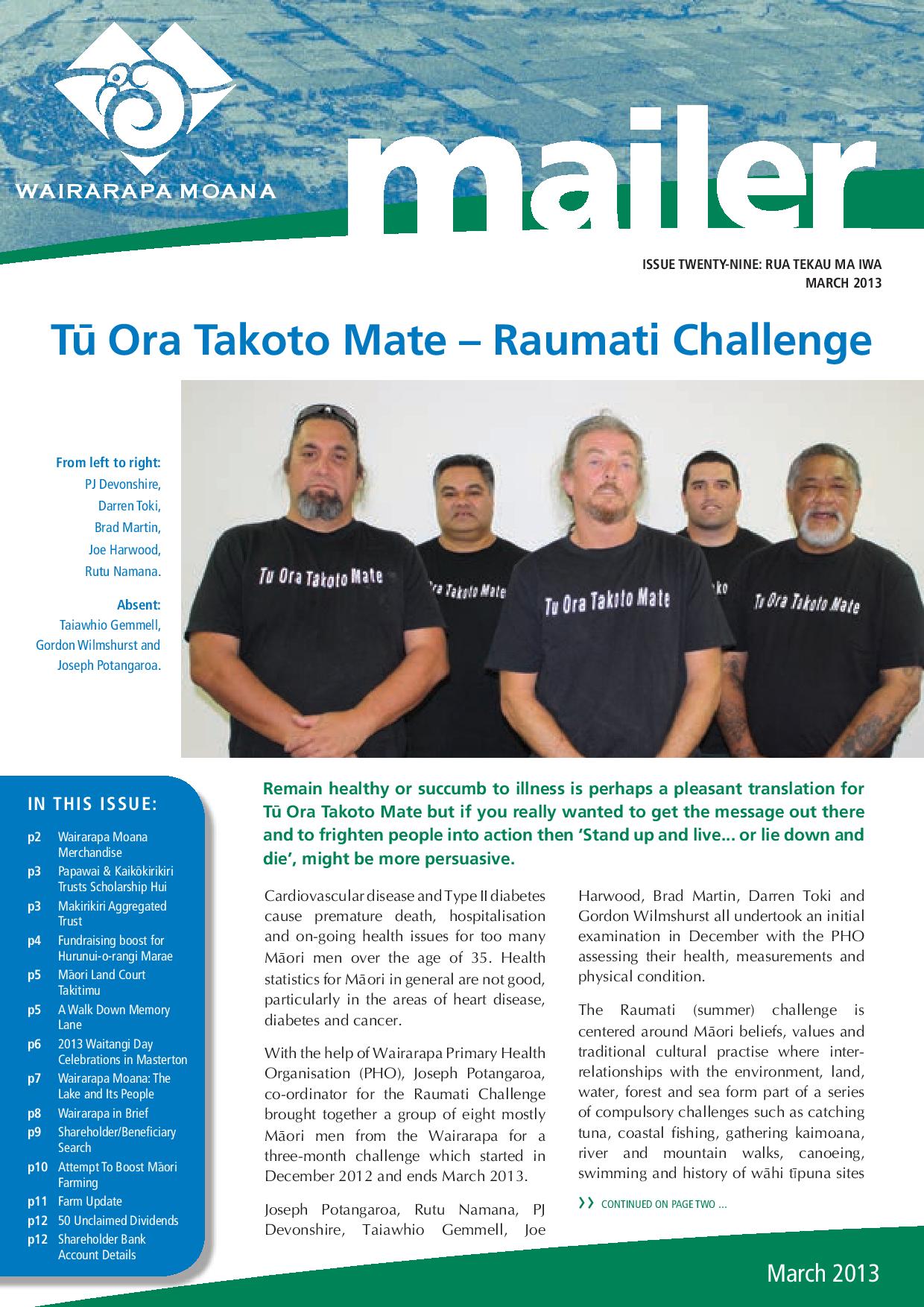 Issue 29 March 2013
