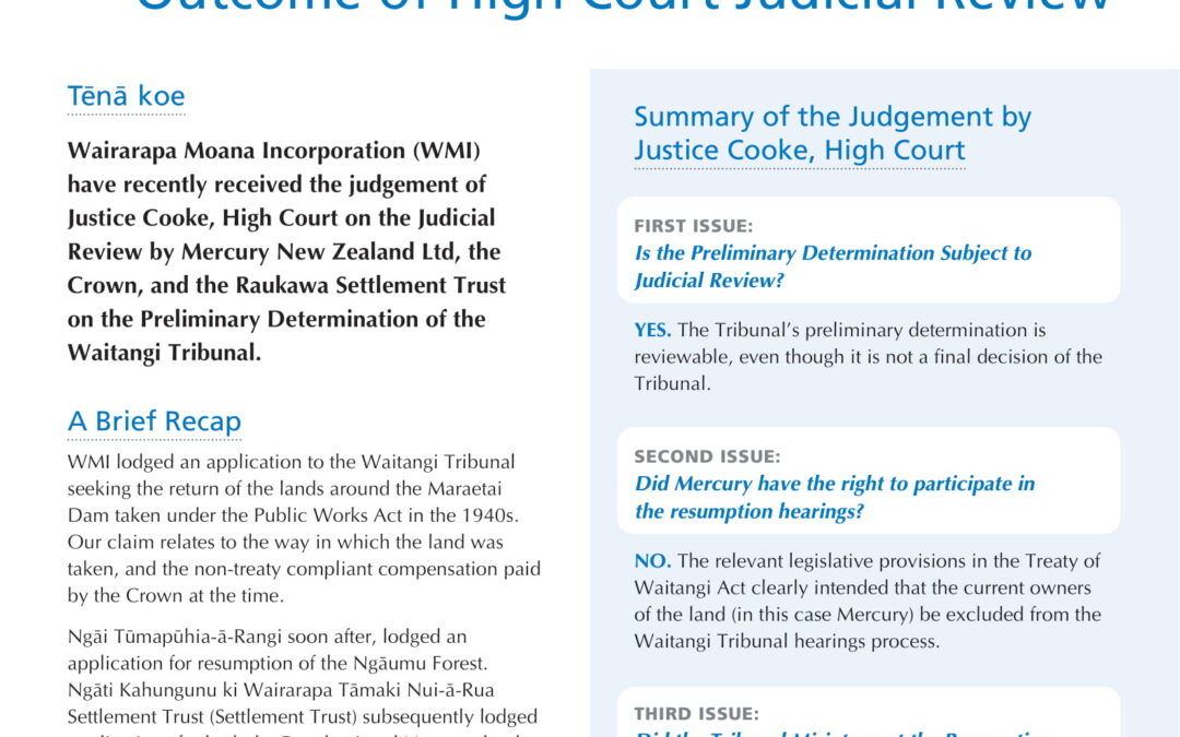 Update on Wai 85: Outcome of High Court Judicial Review