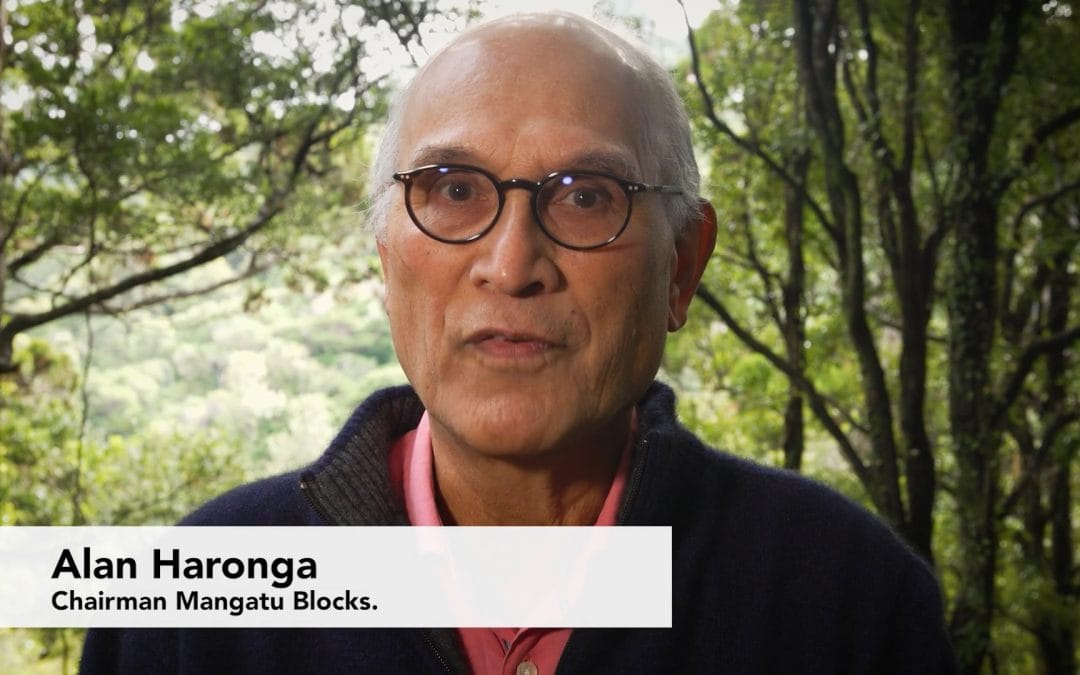 Meeting with UN Special Rapporteur – Alan Haronga, Chairman, Mangatu Blocks
