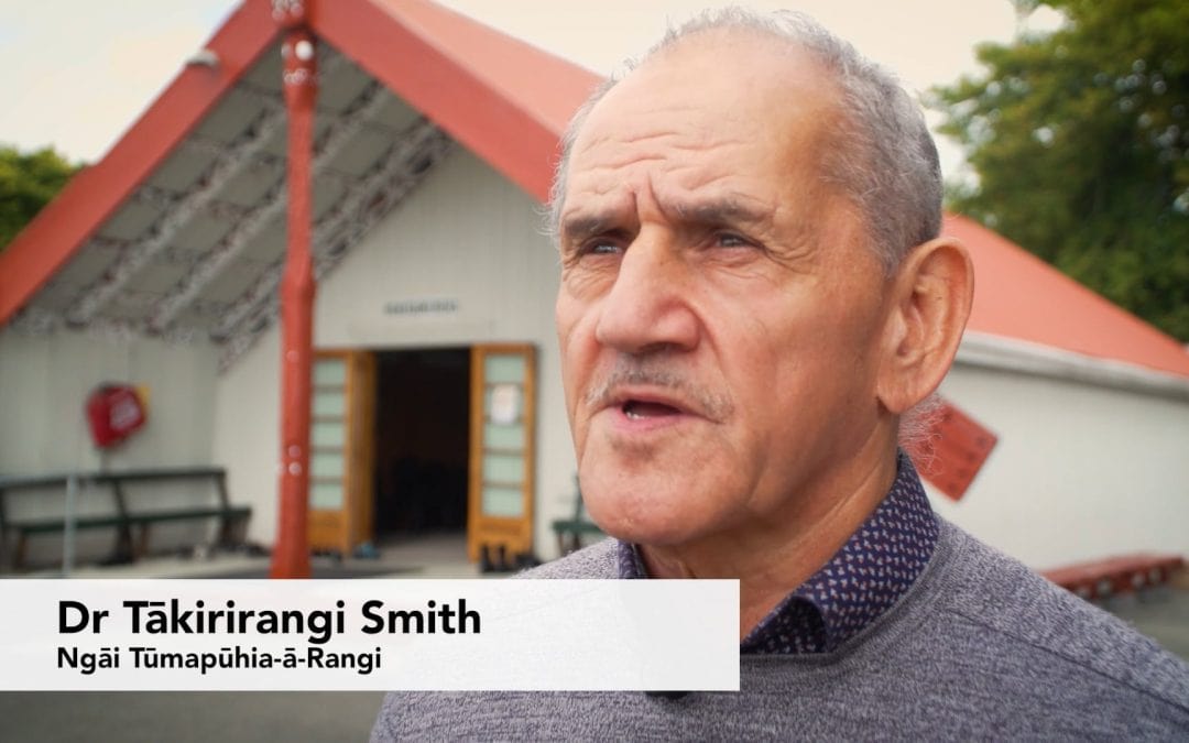 Meeting with UN Special Rapporteur – Dr Tākirirangi Smith